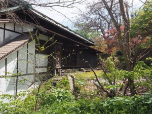 花園にある弓道場付近は緑と花がいっぱい！